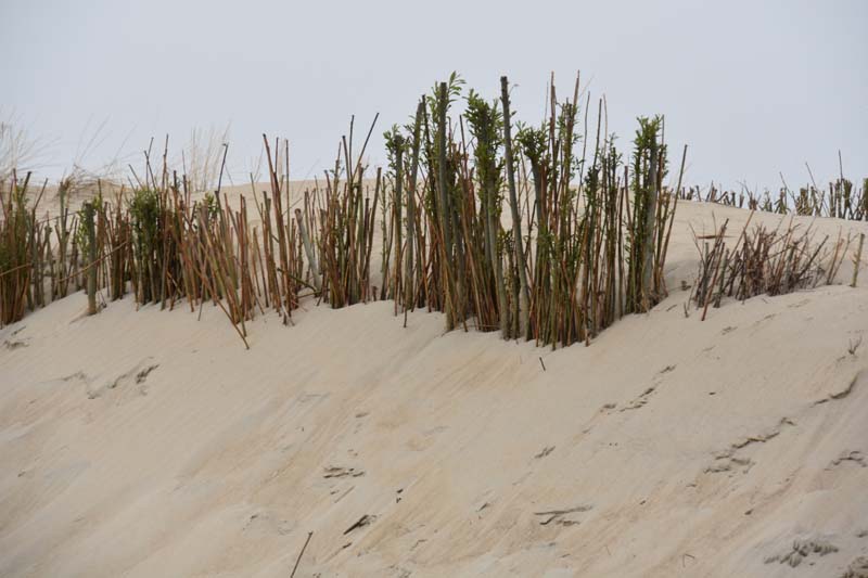 19-04-17_Holl_0078_GA2_8433