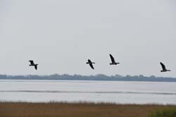 19-04-17_Holl_0102_GA2_8457