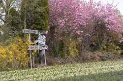 19-04-17_Holl_0463_GA2_8734